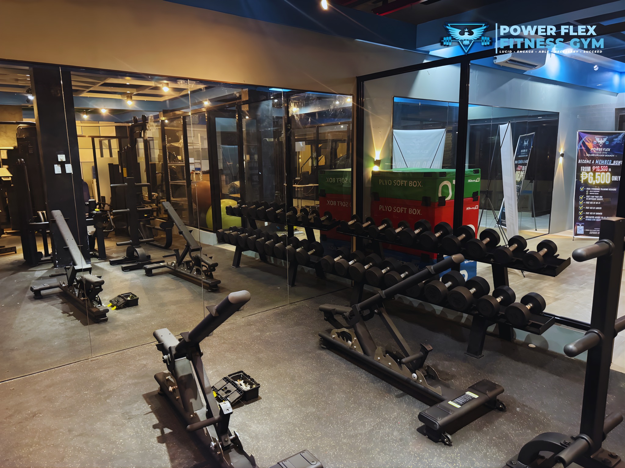 Free Weight Area